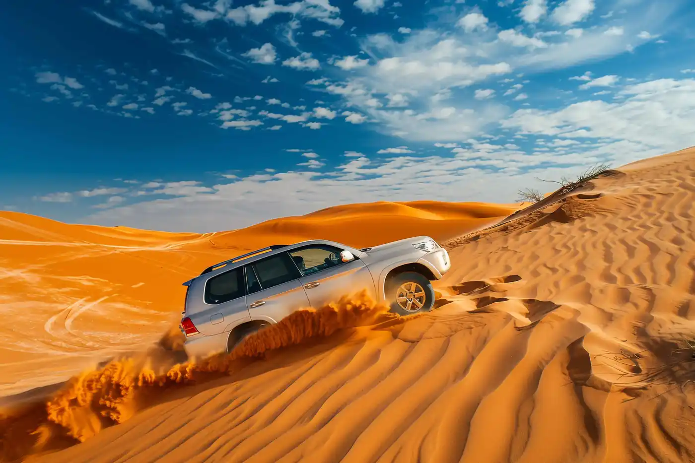 Dubai Desert Safari Adventure
