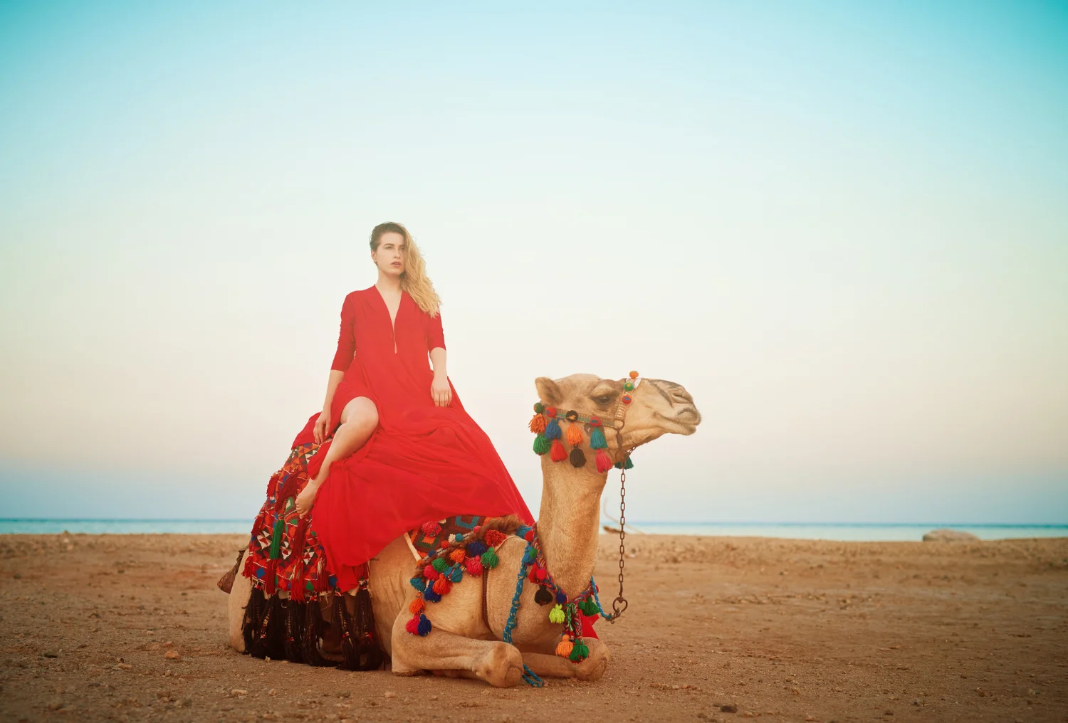 Camel Rides in Dubai