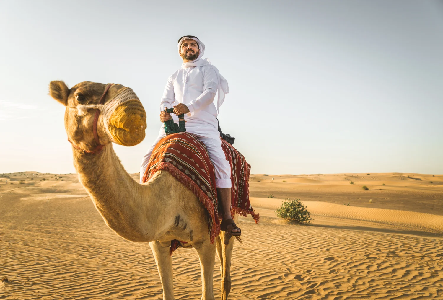 Camel Rides with Desert Safari in Dubai